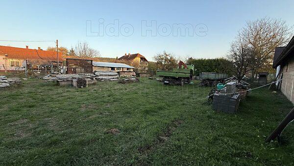 Kehidakustány 2. képe