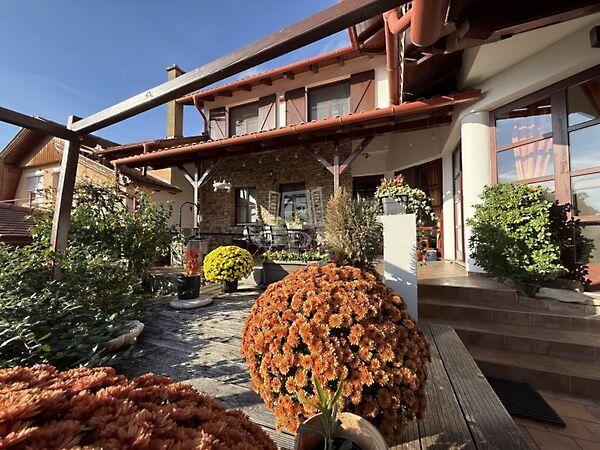 Öreghegyen, csendes, Székesfehérvár képe