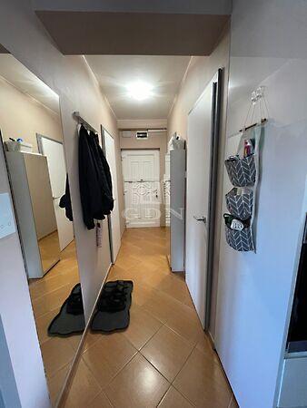 Farkas, Szeged 3. képe