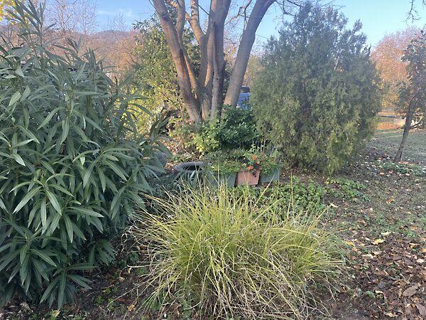 Balatongyörök 2. képe