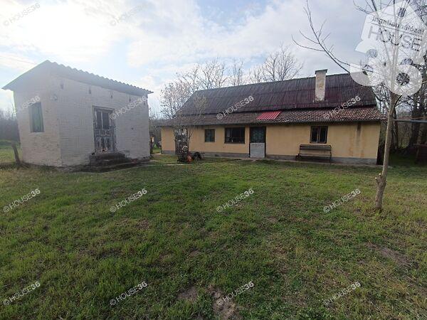 Pálmonostora 2. képe