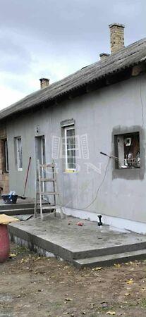 Erdő, Pilis 3. képe