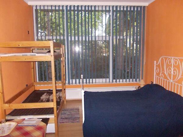 Hűvös, Orosháza képe