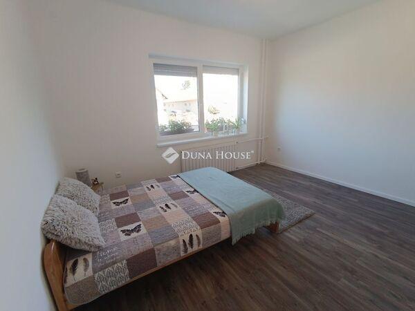 Pajtás, Kecskemét 2. képe