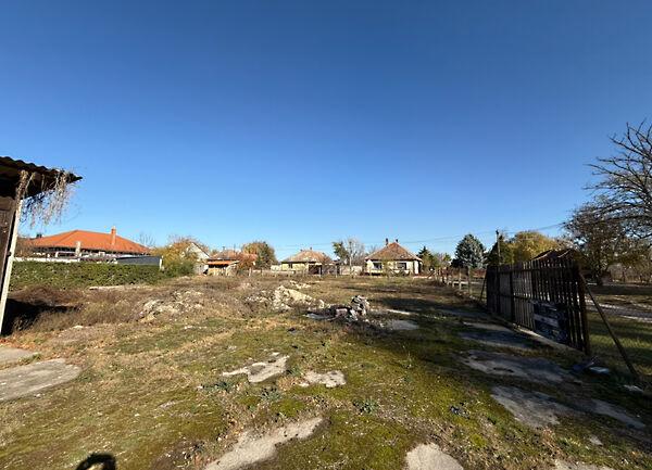 Erdő, Jánoshalma 2. képe