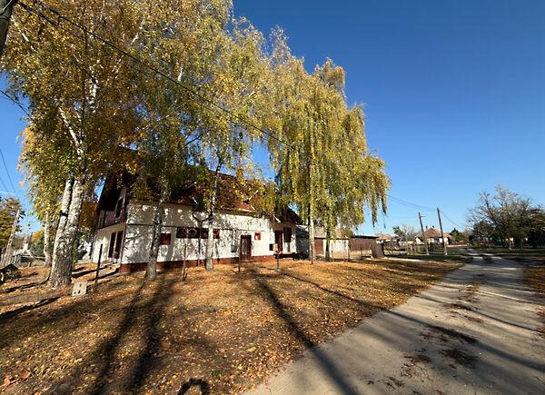 Nyárfa, Jánoshalma 3. képe