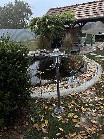 Rákóczi Ferenc, Mezőfalva képe