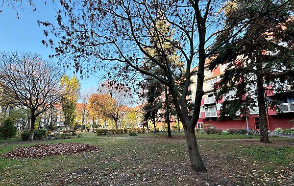 Báthory, Budapest, XV. kerület képe