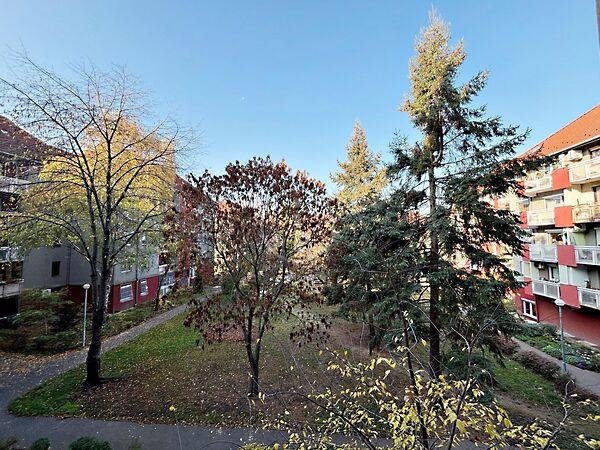 Báthory, Budapest, XV. kerület 2. képe