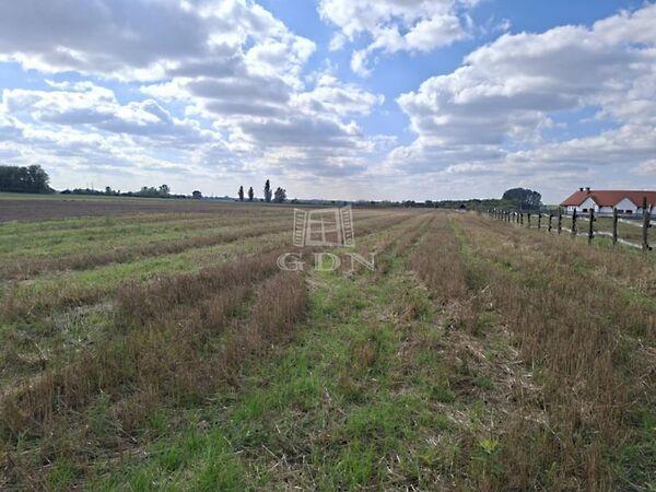 Kerekegyháza 2. képe