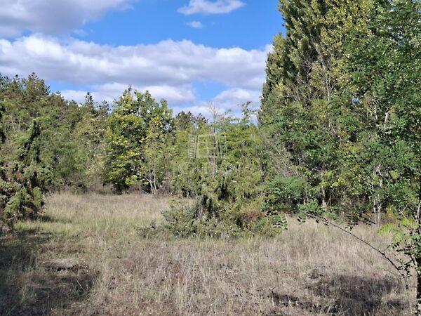 Kerekegyháza 2. képe