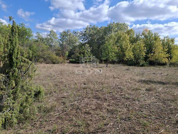 Kerekegyháza 3. képe