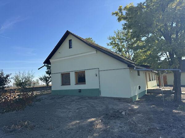 Makó, Dáli Ugar tanya, Makó képe