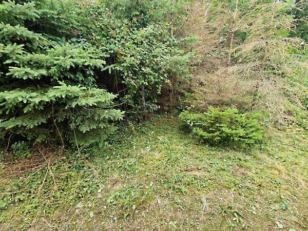 Kustánszeg 2. képe