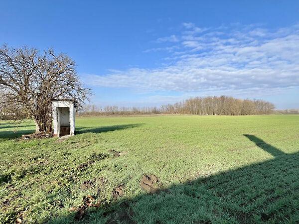 Tápiószentmárton 3. képe