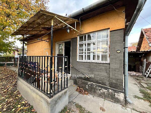 Viola, Jászkisér 3. képe