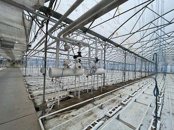 Szabadszállás 2. képe