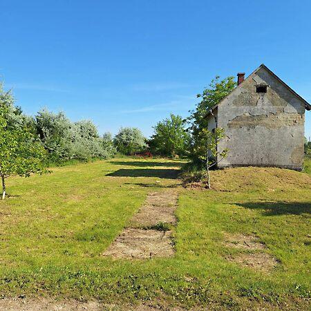 Székesfehérvár 3. képe