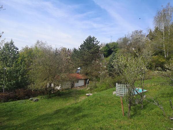 Mókus, Zebegény képe