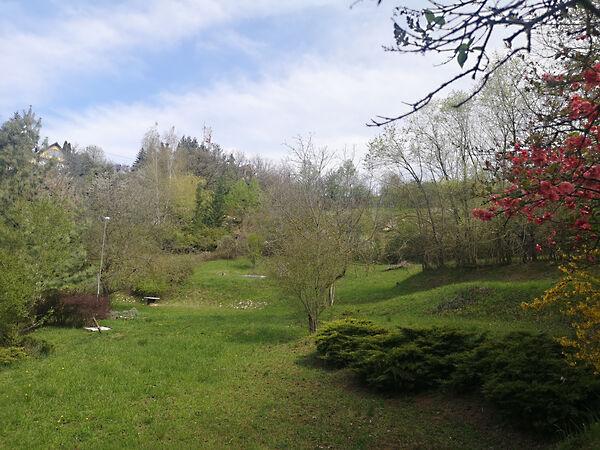 Mókus, Zebegény 2. képe