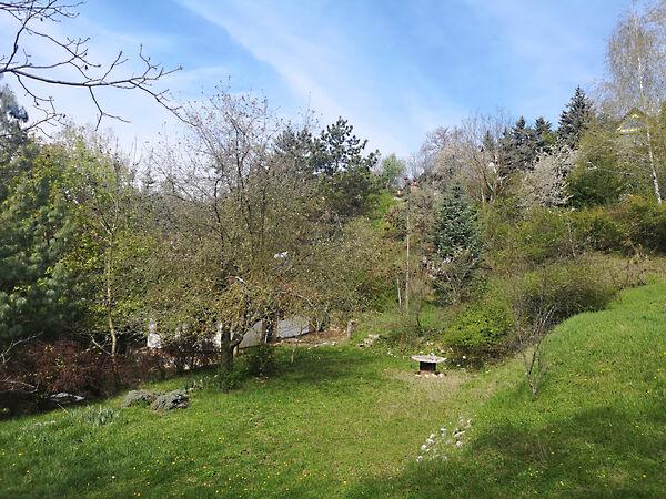 Mókus, Zebegény 3. képe