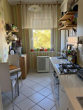 Szerpentin, Salgótarján 2. képe