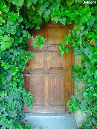 Tibolddaróc 2. képe