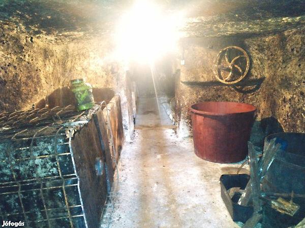 Tibolddaróc 3. képe