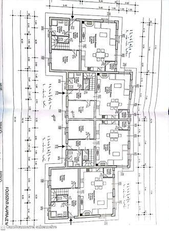 Darázs, Telki 2. képe