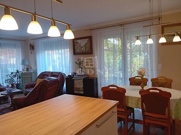 Darázs, Telki 3. képe