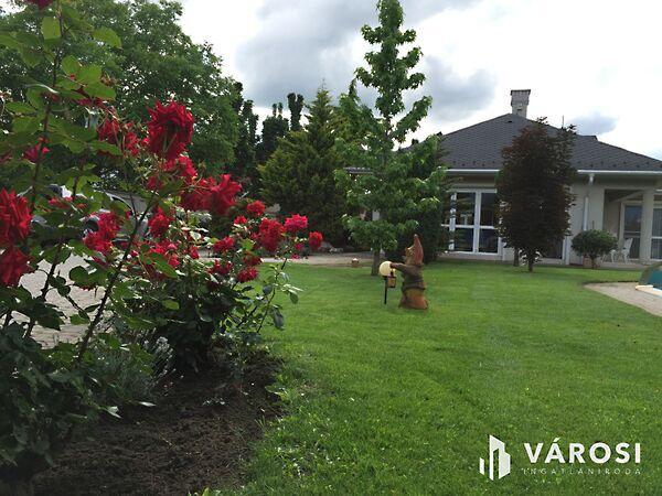 Debrecen, Debrecen 2. képe