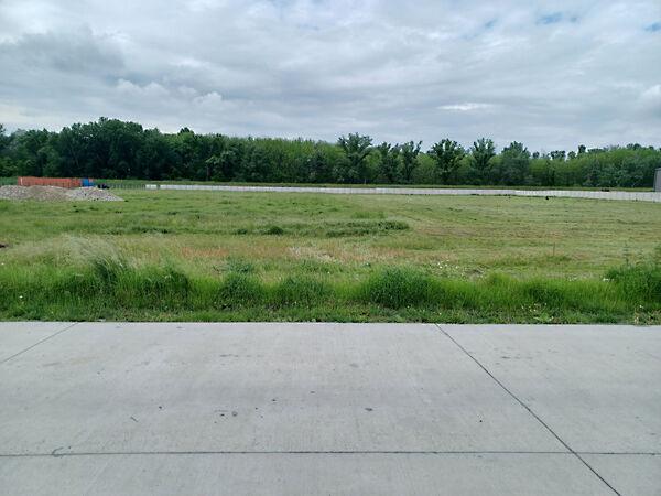 Égerfa, Győr képe