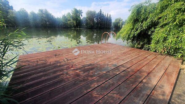 Arborétumi, Békésszentandrás képe