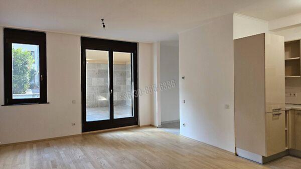 Szőlő, Budapest, III. kerület 2. képe