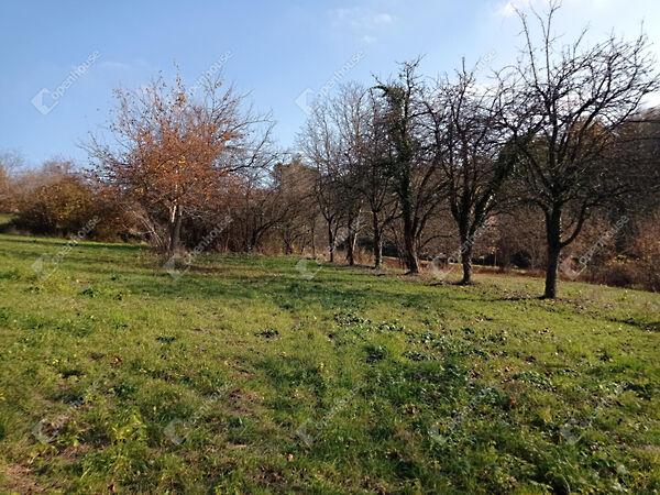 Zalaegerszeg 2. képe