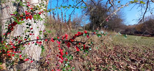 Zalaegerszeg 3. képe