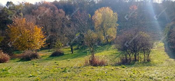 Zalaegerszeg 2. képe