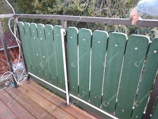 Patkó, Keszthely 2. képe