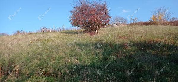 Zalaegerszeg 2. képe