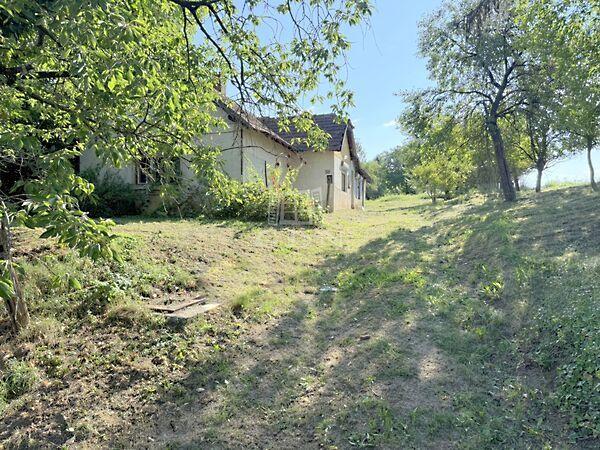 Zalatárnok csendes, Zalatárnok képe