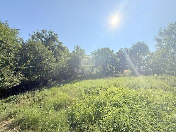 Zalatárnok csendes, Zalatárnok 2. képe