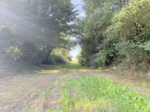 Zalatárnok csendes, Zalatárnok 3. képe