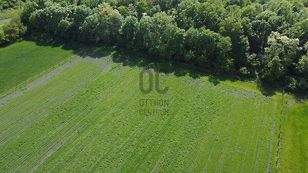 Mosonmagyaróvár 2. képe