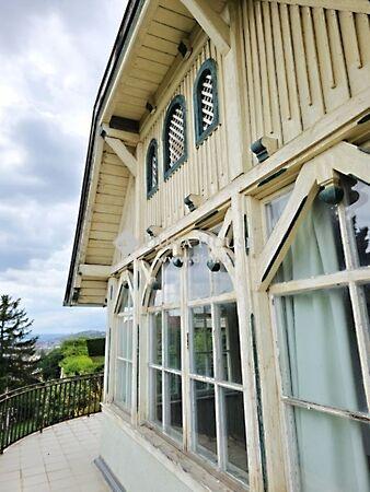 Szőlő, Pécs képe