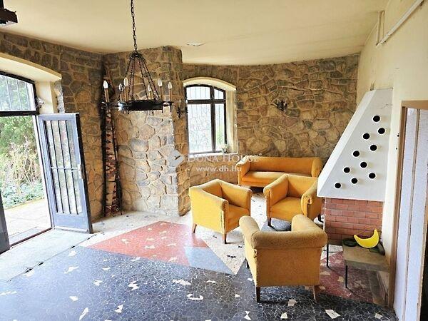 Szőlő, Pécs 2. képe