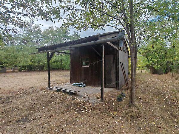 Lizinka, Szeged 2. képe