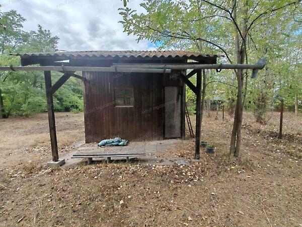 Lizinka, Szeged 3. képe