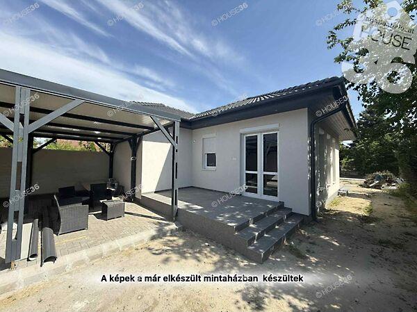 Mimóza, Kecskemét képe