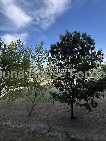 Liszt Ferenc, Pétfürdő 3. képe