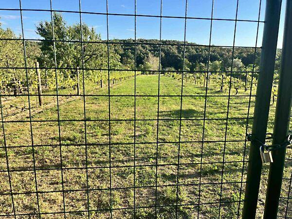 Várgesztes 2. képe